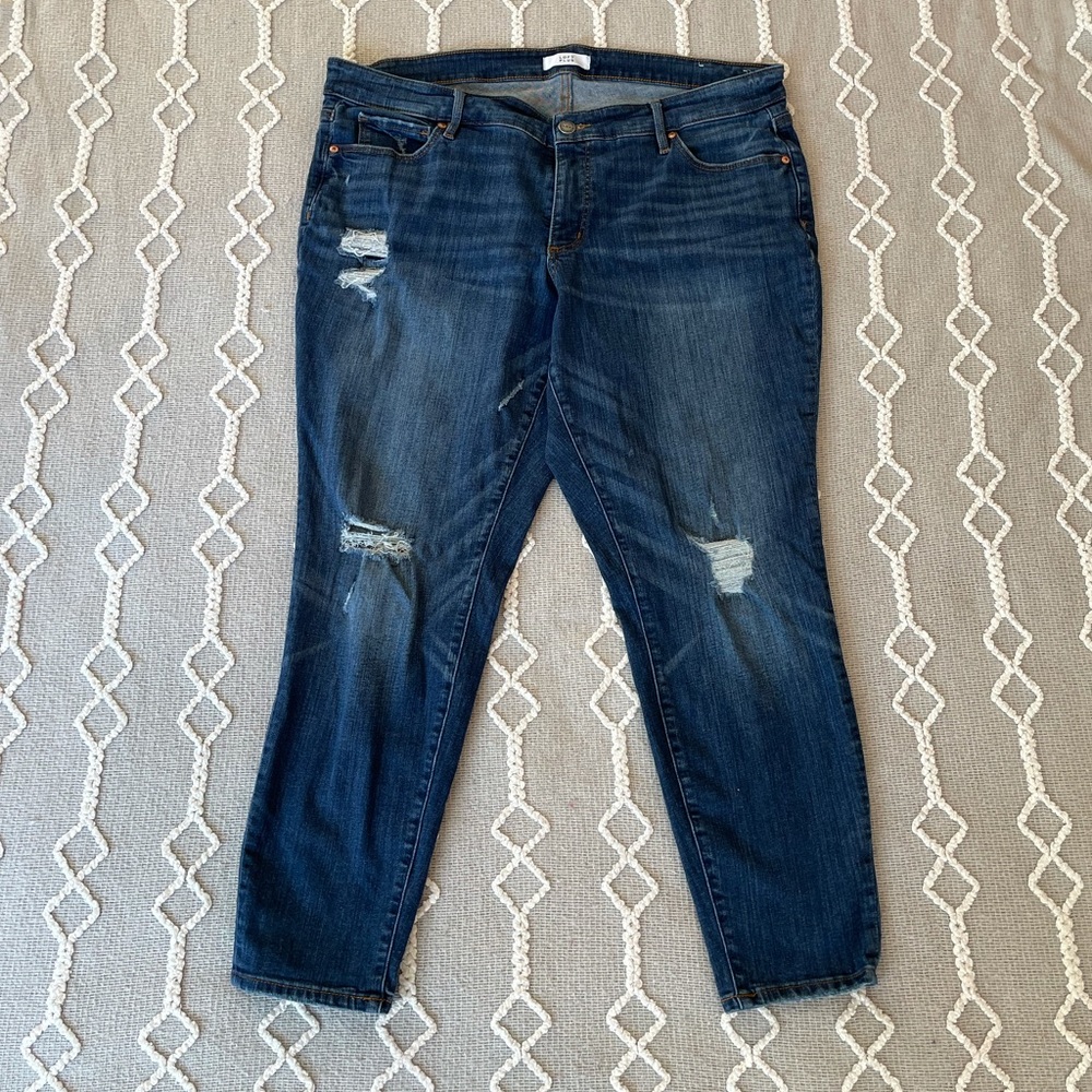 Loft Plus Distressed Jeans
